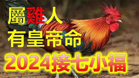 1993屬雞2024運勢|屬雞出生年份/幾多歲？屬雞性格特徵+生肖配對+2024。